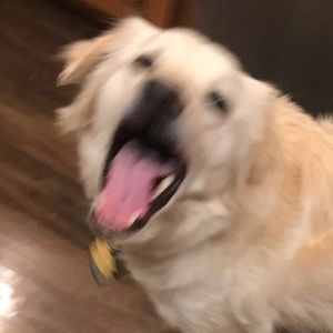 Meet your Posher, Erika